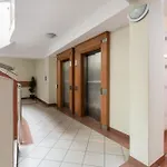 Apartment Cozy Black & White In Center With Free Garage By Renters Posen