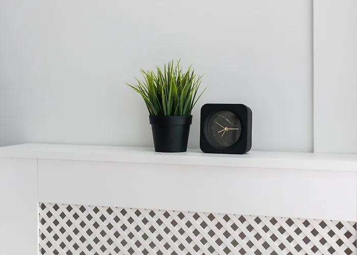 Cozy Black & White In Center With Free Garage By Renters Appartamento