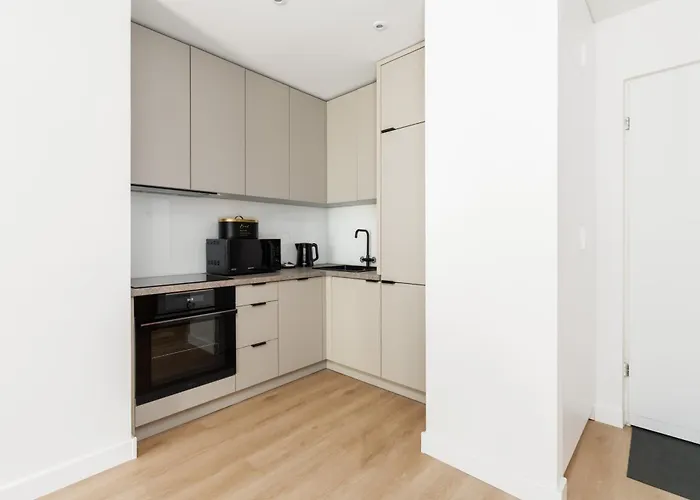 Cozy Black & White In Center With Free Garage By Renters Appartamento *